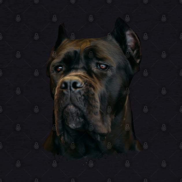 Cane Corso - Italian Mastiff by Nartissima